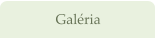 Galria